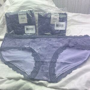 Plus Size Panties 1x - Jenni Lace Trim Panties - Lavender and Gray Lot 3
